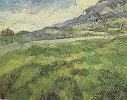 Vincent Van Gogh Green Wheat Field (nn04) china oil painting artist